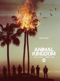 voir serie Animal Kingdom saison 1