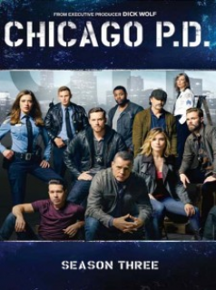 voir serie Chicago Police Department saison 3