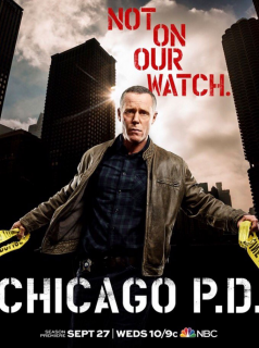 voir serie Chicago Police Department saison 5