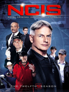 voir serie NCIS : Enquêtes spéciales saison 12