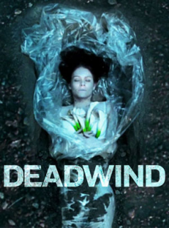 voir serie Deadwind en streaming