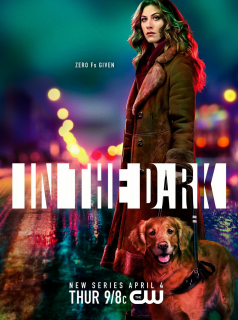 voir serie In the Dark (2019) en streaming