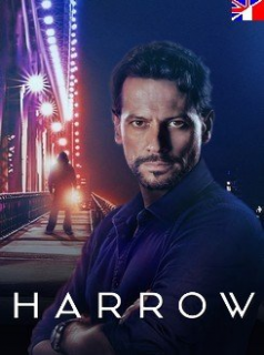 voir serie Harrow saison 2