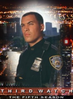 voir New York 911 Saison 5 en streaming 