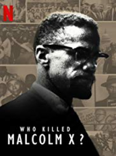 voir serie Qui a tué Malcolm X ? en streaming