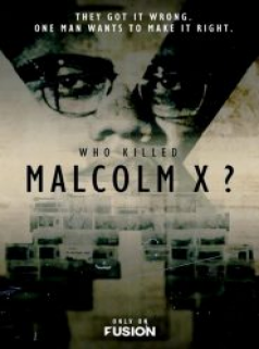 voir serie Qui a tué Malcolm X ? saison 1