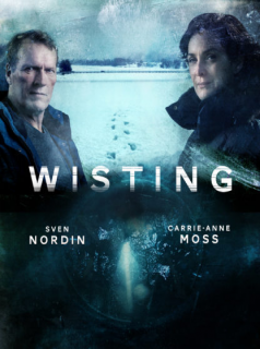 voir serie Wisting saison 1