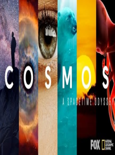 voir serie Cosmos: Possible Worlds saison 1