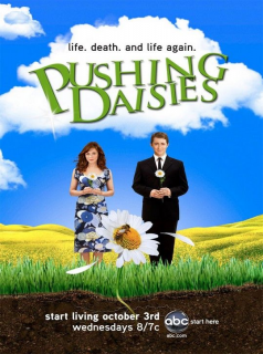 voir Pushing Daisies Saison 1 en streaming 