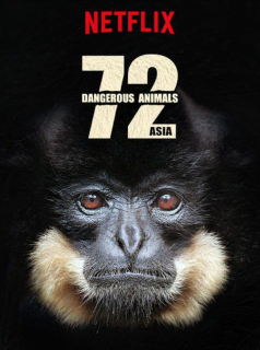 voir serie 72 animaux dangereux en Asie en streaming