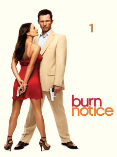 voir Burn Notice saison 1 épisode 1