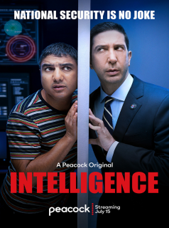 voir serie Intelligence saison 1