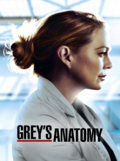 voir serie Grey's Anatomy saison 17