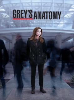 voir serie Grey's Anatomy saison 11