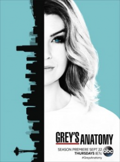 voir serie Grey's Anatomy saison 12