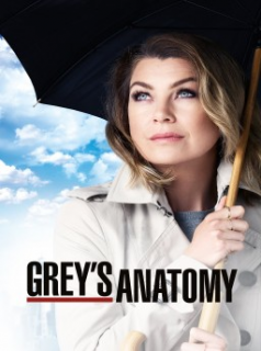 voir serie Grey's Anatomy saison 13