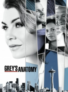 voir serie Grey's Anatomy saison 14
