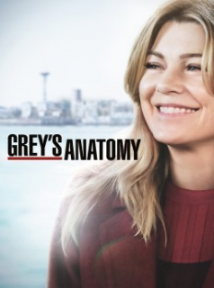 voir serie Grey's Anatomy saison 15