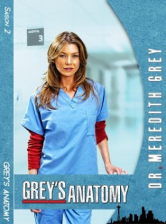 voir serie Grey's Anatomy saison 2