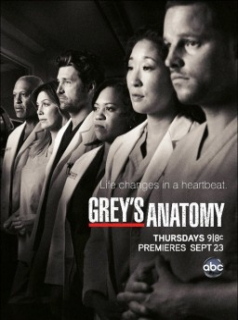 voir serie Grey's Anatomy saison 8