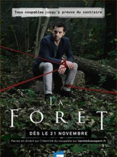 voir serie La Forêt saison 1