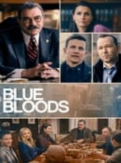 voir Blue Bloods saison 13 épisode 8