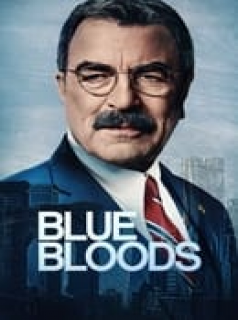 voir Blue Bloods saison 14 épisode 12