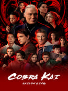 voir COBRA KAI saison 5 épisode 4