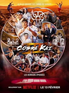 voir COBRA KAI saison 2 épisode 3